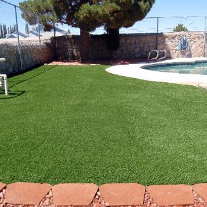 Fake Grass in Pettus, Texas - Better Than Real
