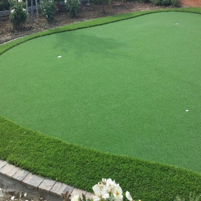 Home Putting Greens & Synthetic Lawn in West University Place, Texas