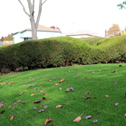 Backyard Putting Greens & Synthetic Lawn in Austwell, Texas