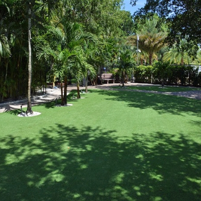 Fake Grass & Synthetic Putting Greens in Fort Bend County, Texas