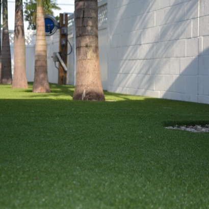 Fake Grass & Putting Greens in Seco Mines, Texas