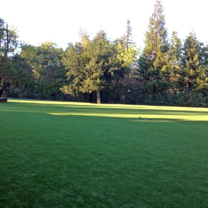 Fake Grass for Yards, Backyard Putting Greens in Evant, Texas