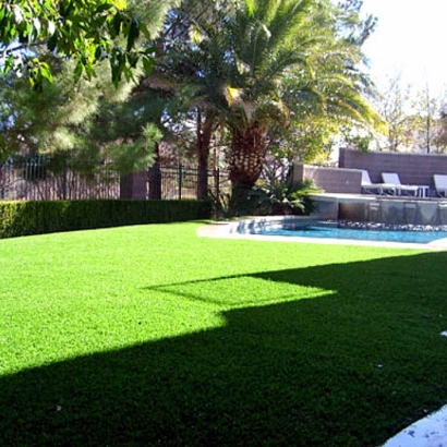 Artificial Turf in Red Lick, Texas