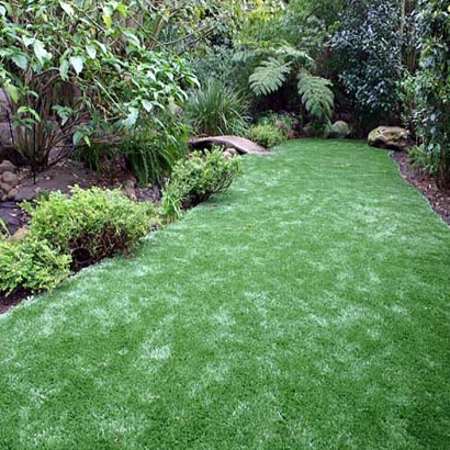 Home Putting Greens & Synthetic Lawn in Iowa Colony, Texas