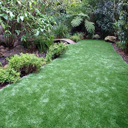 Artificial Turf in Arcola, Texas