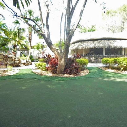 Artificial Grass Installation Nixon, Texas Landscaping, Commercial Landscape