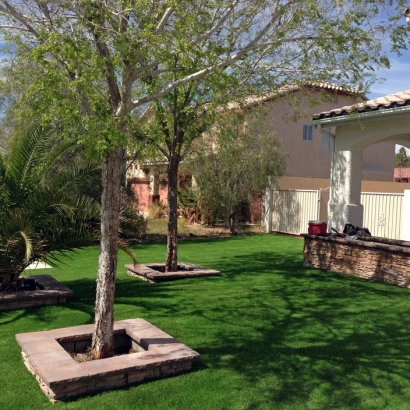 Artificial Turf in Canadian, Texas