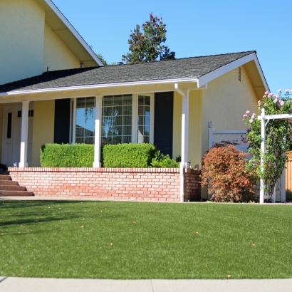 Fake Grass in Pleasant Valley, Texas