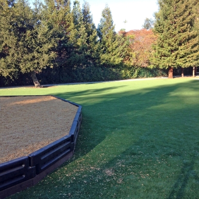 Artificial Turf in Coahoma, Texas