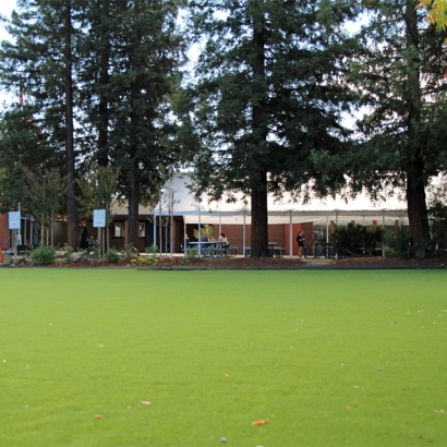 Fake Grass & Synthetic Putting Greens in Dripping Springs, Texas