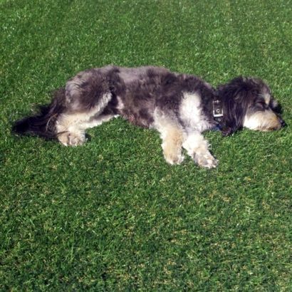 Artificial Turf in West Sharyland, Texas