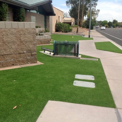 Fake Grass for Yards, Backyard Putting Greens in Gunter, Texas