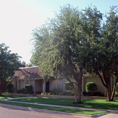 Synthetic Turf in Oak Ridge North, Texas