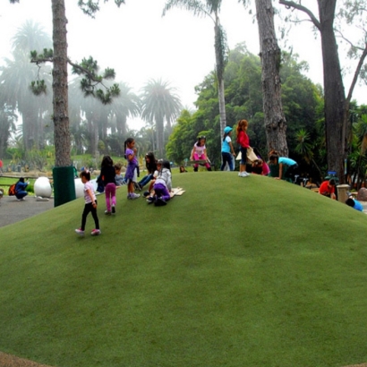 Synthetic Turf Depot in Follett, Texas