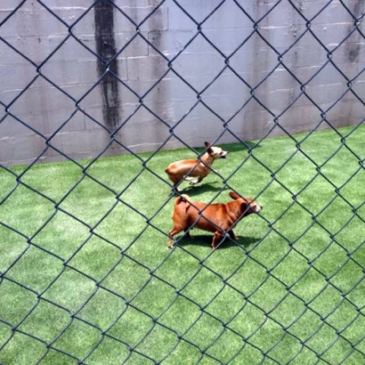 Synthetic Grass in Hale Center, Texas