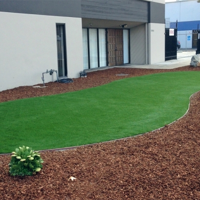 Best Artificial Turf in La Blanca, Texas