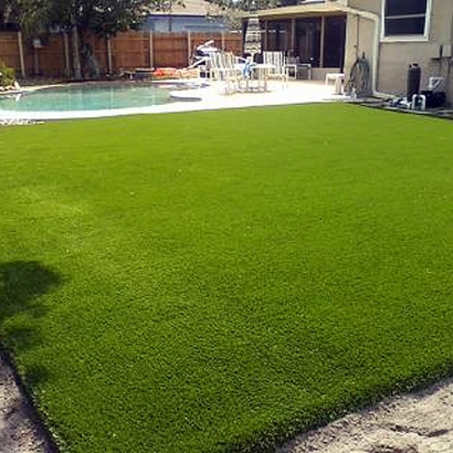 Artificial Turf in Volente, Texas