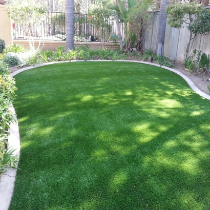 Artificial Turf in Coahoma, Texas