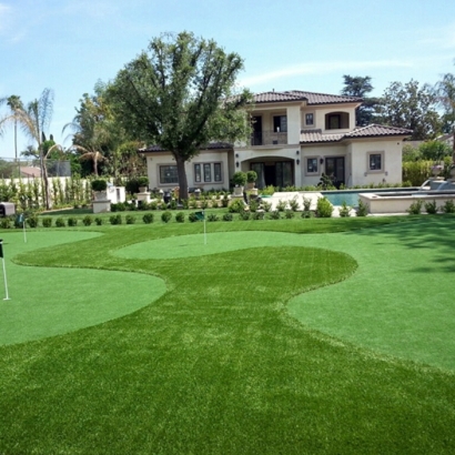 Synthetic Turf in Cass County, Texas