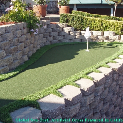 Artificial Grass in Anthony, Texas