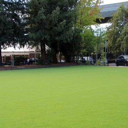 Backyard Putting Greens & Synthetic Lawn in Todd Mission, Texas