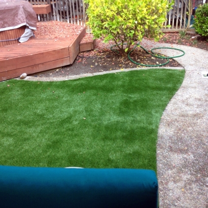 Backyard Putting Greens & Synthetic Lawn in Cameron Park, Texas