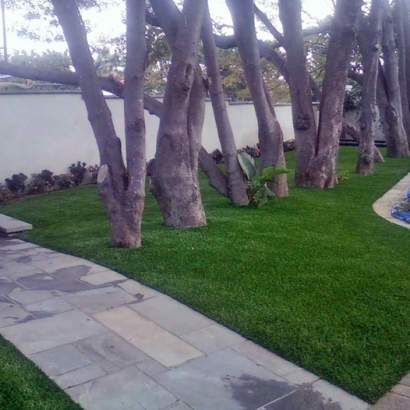 Artificial Grass in Salineo, Texas