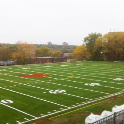 Synthetic Turf in Deer Park, Texas