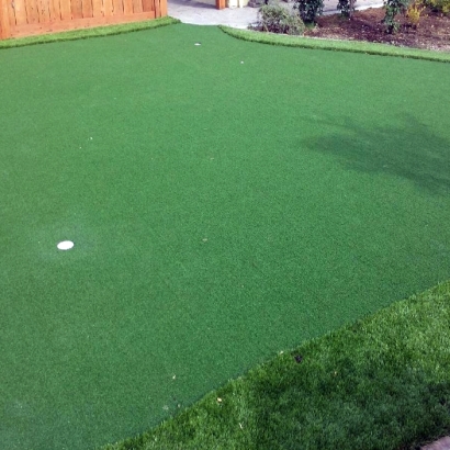 Best Artificial Turf in La Blanca, Texas