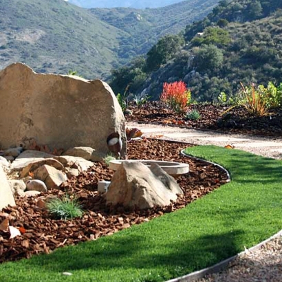 Synthetic Turf: Resources in Garland, Texas