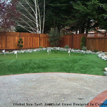 Synthetic Grass in Palisades, Texas