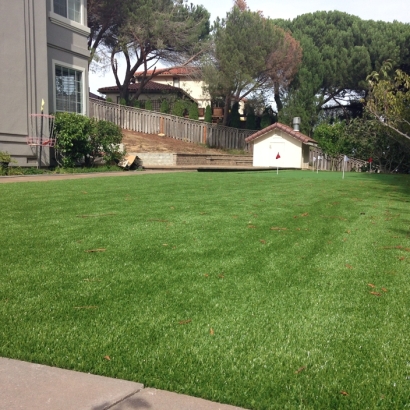 Artificial Turf in De Leon, Texas