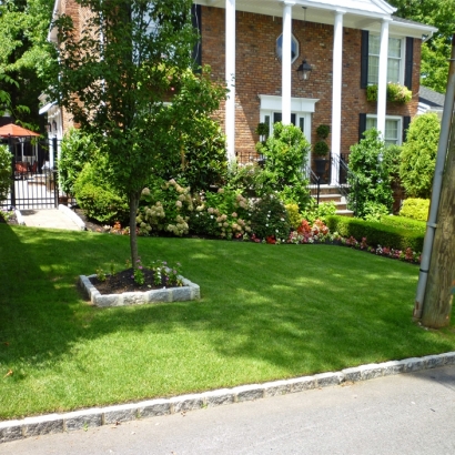 Synthetic Turf in Eidson Road, Texas