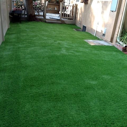 Fake Grass & Putting Greens in Seco Mines, Texas