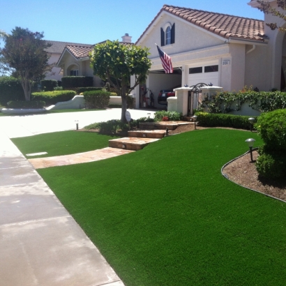 Fake Grass & Synthetic Putting Greens in Oglesby, Texas