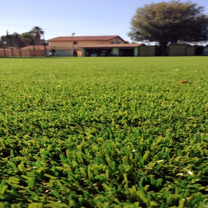 Synthetic Grass in Edwards County, Texas