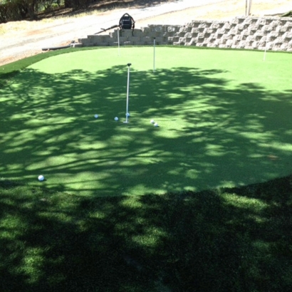 Artificial Turf in Fifth Street, Texas