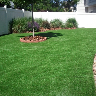 Artificial Turf Installation Pearland, Texas Landscape Photos, Backyard Ideas