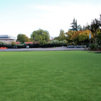 Synthetic Turf: Resources in San Diego, Texas