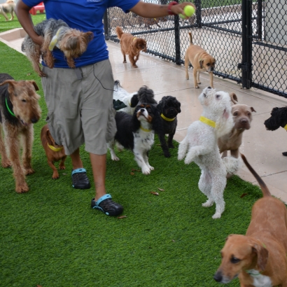 Artificial Turf in Driftwood, Texas