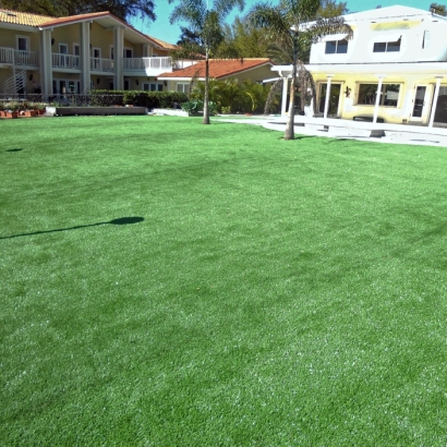 Synthetic Turf in Seminole, Texas