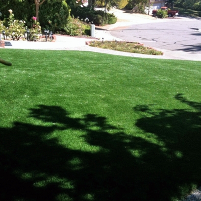 Synthetic Grass in Graham, Texas