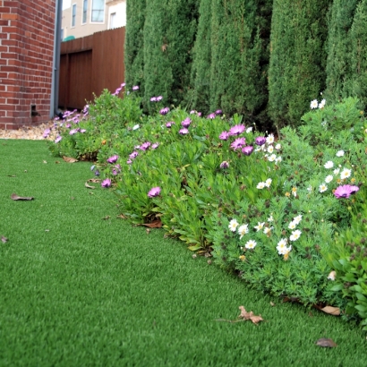 Artificial Turf in Sullivan City, Texas