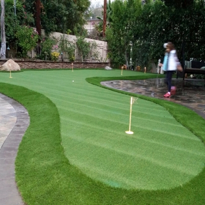 Fake Grass & Putting Greens in Krugerville, Texas