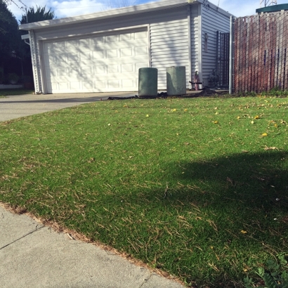 Synthetic Turf in Edinburg, Texas