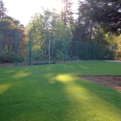 Synthetic Grass in Zapata Ranch Colonia, Texas