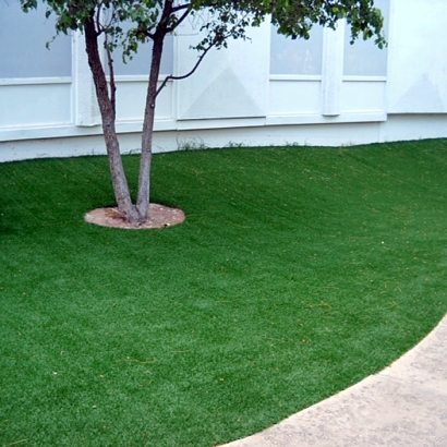 Fake Grass for Yards, Backyard Putting Greens in North Alamo, Texas