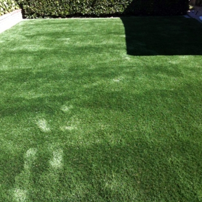 Best Artificial Grass Poteet, Texas Dog Pound, Backyard Landscape Ideas