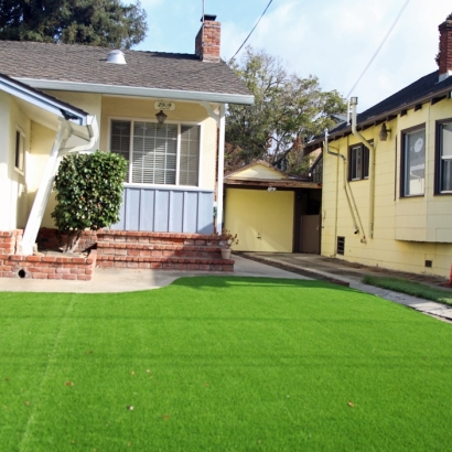 Synthetic Turf Depot in Nimrod, Texas