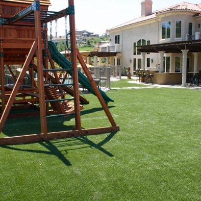 Synthetic Turf in Encantada-Ranchito-El Calaboz, Texas